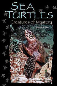 Sea Turtles