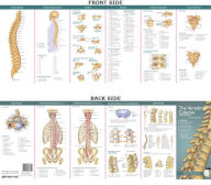Anatomical Chart Company's Illustrated Pocket Anatomy: The Vertebral Column & Spine Disorders Study Guide / Edition 2