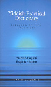 Title: English-Yiddish/Yiddish-English Practical Dictionary (Expanded Romanized Edition), Author: David Gross