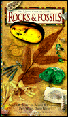 Rocks and Fossils