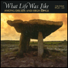 What Life Was Like Among Druids and High Kings: Celtic Ireland AD 400-1200
