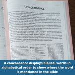 Alternative view 6 of NIV, The Woman's Study Bible, Hardcover, Full-Color, Red Letter: Receiving God's Truth for Balance, Hope, and Transformation
