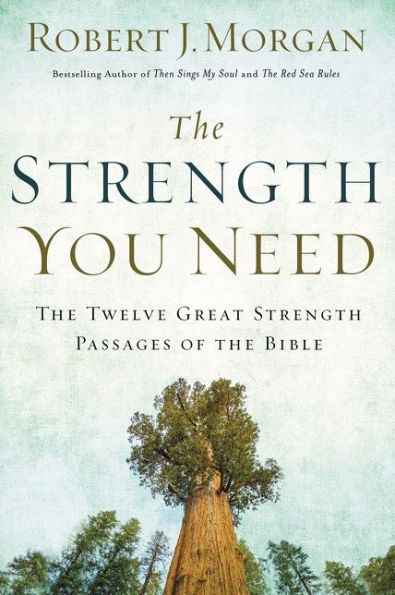 The Strength You Need: The Twelve Great Strength Passages of the Bible