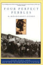 Four Perfect Pebbles : A Holocaust Story
