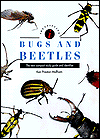 Identifying Bugs and Beetles