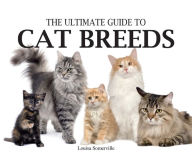 Ultimate Guide to Cat Breeds