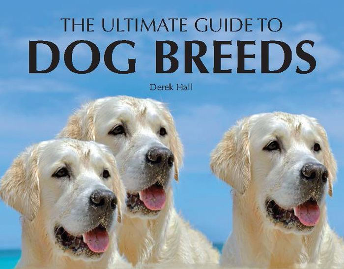 Ultimate Guide to Dog Breeds by Derek Hall, Paperback Barnes & Noble®