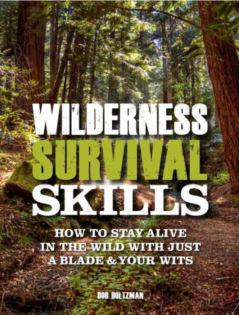 Wilderness Survival Skills : How To Stay Alive In The Wild With Just A ...