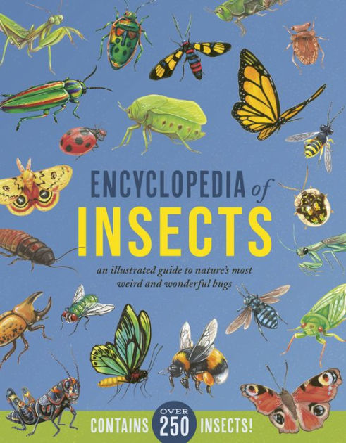 語学+参考書 The Insects: Structure and Function Amazon.com: The Insects: Structure and Function