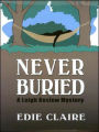 Never Buried (Leigh Koslow Mystery Series #1)