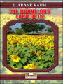 The Marvelous Land of Oz (Oz Series #2)