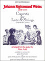Johann Sigismun Weiss: Concerto in D Minor for Lute and Strings