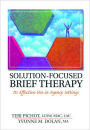 Solution-Focused Brief Therapy : Its Effective Use in Agency Settings / Edition 1