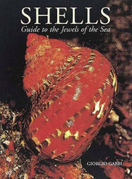 Shells: The Jewels of the Sea