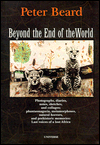 Beyond the End of World