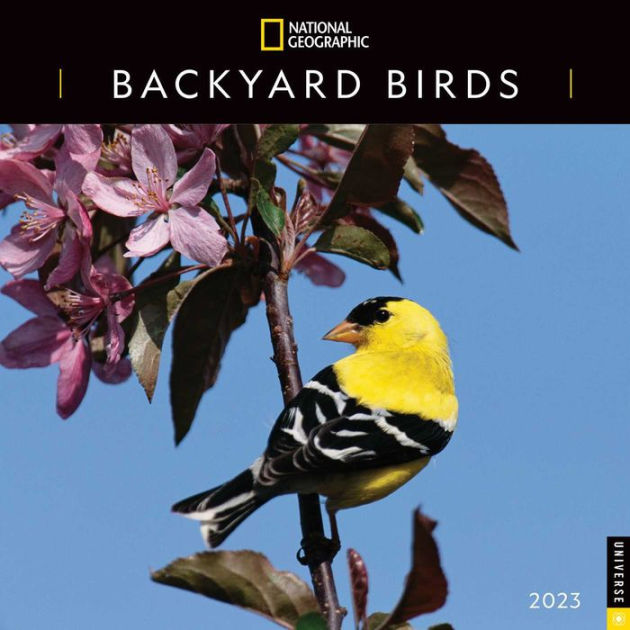 National Geographic Calendar 2023 2023 National Geographic: Backyard Birds 2023 Wall Calendar By National  Geographic, Calendar | Barnes & Noble®