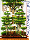 Nature Cross-Sections