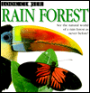 Rain Forest
