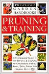 Pruning & Training