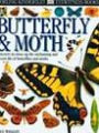 Butterfly and Moth (DK Eyewitness Books Series)