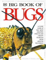 Title: Big Book of Bugs, Author: DK