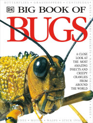 Title: Big Book of Bugs, Author: DK