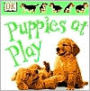 Puppies At Play