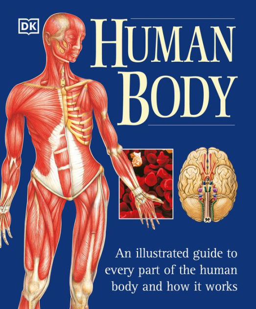 Page,　Body　The　Martyn　Paperback　Every　Human　the　Part　Human　Works　Body:　Illustrated　It　by　An　Guide　to　and　of　How　Barnes　Noble®