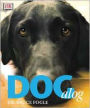 Dogalog
