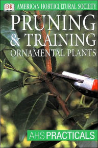 Pruning and Training