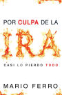 Por culpa de la ira... casi lo pierdo todo