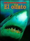 Olfato
