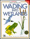 Wading into Wetlands