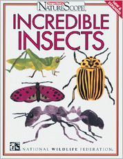 Incredible Insects