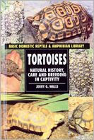 Tortoises