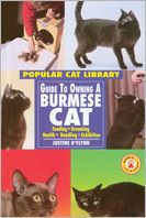 Guide to Owning a Burmese Cat