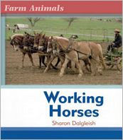 Working Horses