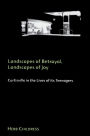 Landscapes of Betrayal, Landscapes of Joy: Curtisville in the Lives of its Teenagers