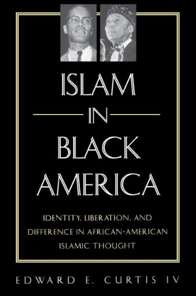 Islam in Black America: Identity, Liberation, and Difference in African-American Islamic Thought / Edition 1