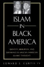 Islam in Black America: Identity, Liberation, and Difference in African-American Islamic Thought / Edition 1