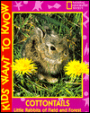 Cottontails: Little Rabbits of Field and Forest