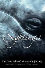 Sightings: The Gray Whales' Mysterious Journey
