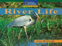 Windows on Literacy Fluent (Social Studies: Geography): River Life / Edition 1