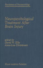 Neuropsychological Treatment After Brain Injury / Edition 1