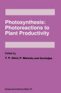 Photosynthesis: Photoreactions to Plant Productivity