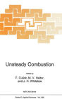 Unsteady Combustion / Edition 1