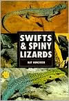 Swifts and Spiny Lizards