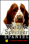 Welsh Springer Spaniel