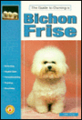 The Guide to Owning a Bichon Frise