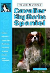 The Guide to Owning a Cavalier Ring Charles Spaniel
